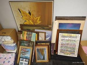 lot 428 image: Large Lot Pictures