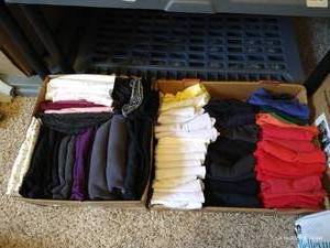 lot 535 image: HUGE Lot of Cuddle Duds & Dickies