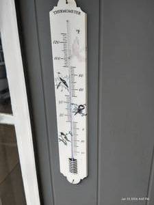 lot 679 image: Large Outdoor Bird Thermometer