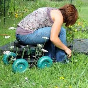 lot 61 image: Pure Garden Garden Cart Rolling Scooter with Seat and Tool Tray