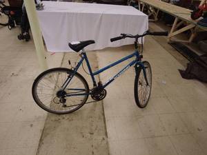 lot 141 image: Schwinn Woodlands Mountain Bike