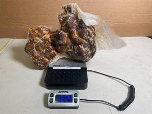 lot 56 image: G - Seasoned Whole Pork Butt - 6.124Lbs