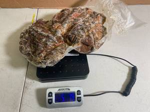 lot 117 image: G - Seasoned Whole Pork Butt - 5.79Lbs