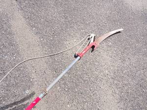 lot 7 image: Pole Saw