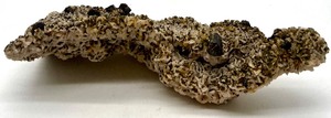 lot 174 image: Interesting Rock Stone Specimen
