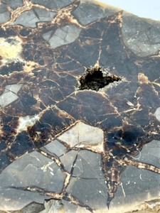 lot 131 image: Spetarian Nodule Specimen