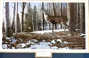 lot 222 image: Artist Framed Artwork Northridge Whitetails Signed by JIM HANSEL ENCORE EDITION