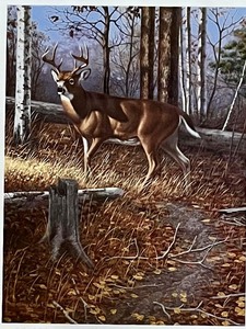 lot 225 image: Collectors Edition Earth Day Coin & Stamp Artist Signed Framed Artwork by HARRY ANTIS Woodland Prince 1993 G&B PROMOTIONS, INC. ALL RIGHTS RESERVED