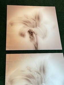 lot 139 image: Pair of Floral Glass Prints