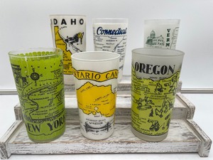 Vintage Frosted State Souvenir Drinking Glasses Hazel Atlas