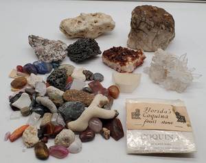 Lot of Rocks, Geodes, Fossils