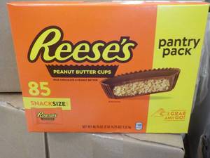 lot 306 image: 85 ct Reeses Snack Size Peanut Butter Cups