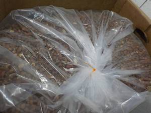 lot 307 image: Large Box Roasted Whole Almonds guessing 30 lbs. or more