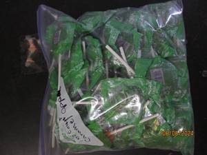 lot 158 image: 100 carmel apple suckers...