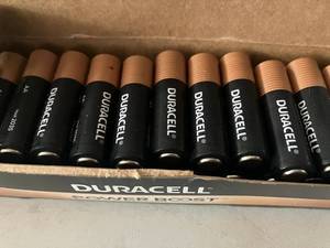 AA Powerboost Batteries