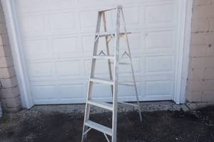 lot 100 image: 6 Ft Aluminum Ladder