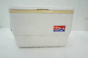 lot 124 image: Igloo Cooler Marine 25