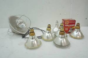 lot 153 image: Heat Lamp and Heat Bulbs