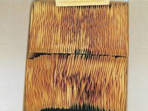 lot 95 image: Case of Bubble Lined Envelopes