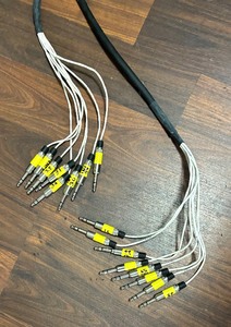 lot 264 image: Patch Cable 100 Inch Snake