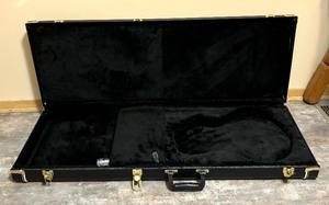 lot 49A image: Godin Instrument Case
