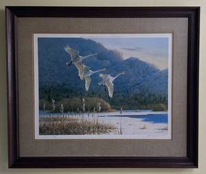 lot 104 image: Owen Gromme Framed Print Frosting Morning Whistling Swans signed & numbered 351850