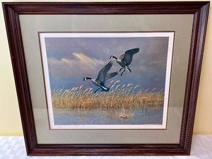 lot 105 image: Owen Gromme Framed Print A Pair of Canadas signed and numbered 196850