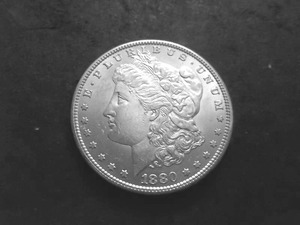 1880 S  Morgan Silver Dollar