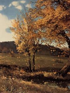 lot 124 image: Large Framed Autumn Print by F. Haller