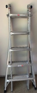 lot 220 image: ALUMINUM Extendable Ladder