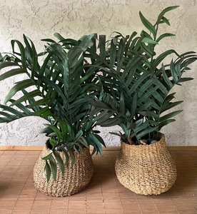 lot 64 image: Natural Free Form Baskets with Faux Palm Plants - Qty 2