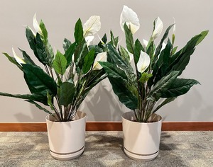 lot 195 image: Pair of LARGE POTTED FAUX PEACE LILIES