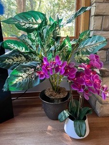 lot 38 image: Faux Potted Orchid and Faux Tropical Plant