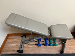 lot 303 image: DANSKIN Weight Bench with Hand Weights