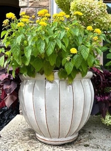 lot 262A image: Large Ceramic Flower Pot Planter #2