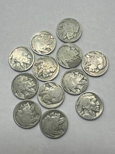 lot 52 image: Lot of 12 Buffalo Nickels