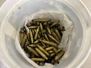 lot 41 image: 243 Win Casings