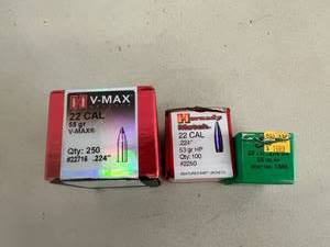 lot 48 image: 22 Cal Bullets