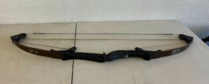 lot 265 image: Bear Whitetail Hunter AMO Compound 39 Archery Bow