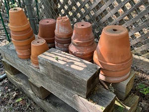lot 69 image: Variety of Terra Cotter Planters