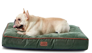 lot 460 image: Bedsure Plush Waterproof Dog Bed Green
