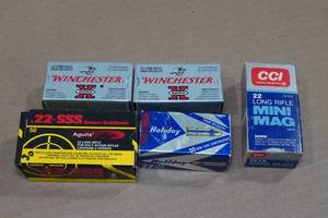lot 166 image: 230 Assorted .22 LR Ammo