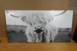 lot 127 image: Highland Cow Canvas Wall Art 47x24