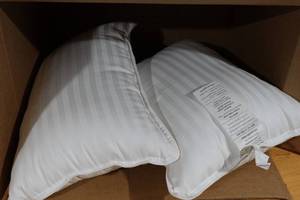 lot 124 image: 2 Utopia Throw Pillows 13x18