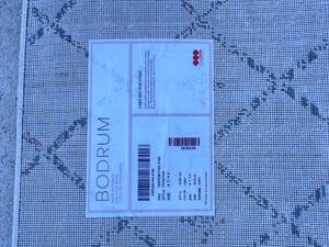 Indoor Outdoor Rug - lightly used