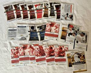 2013 Panini Select Baseball Silver Holos