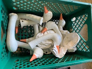 Decoys