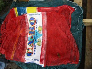 lot 123 image: Net Produce Bags