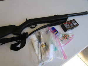 lot 166 image: Wolf Black Powder Gun