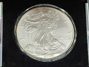2004 Silver American Eagle US Mint Walking Liberty Coin 1oz .999 fine